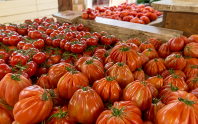 Saturday Farmers Market – Joshua Tree & Twentynine Palms